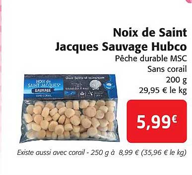 noix de saint jacques sauvage hubco