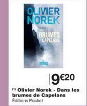 olivier norek - dans les brumes de capelans