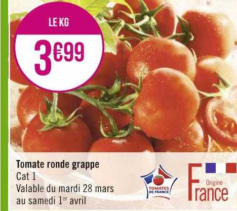 Tomate Ronde Grappe