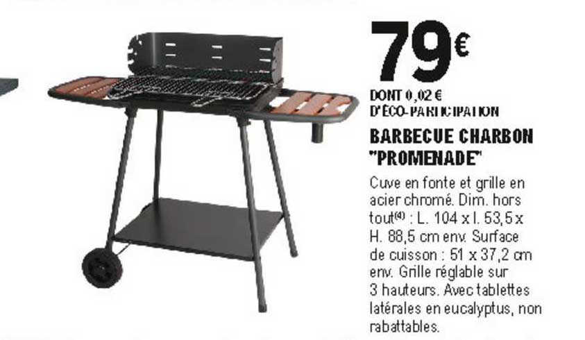 Barbecue Charbon "promenade"