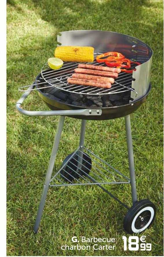 barbecue charbon carter