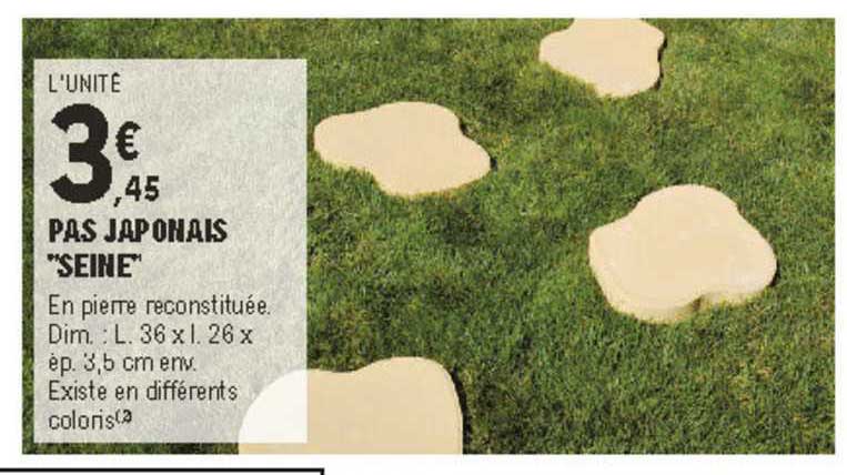 pas japonais "seine"