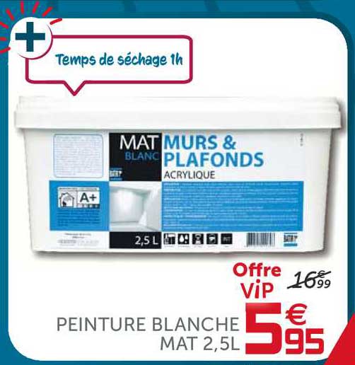 Peinture Blanche Mat 2,5 L