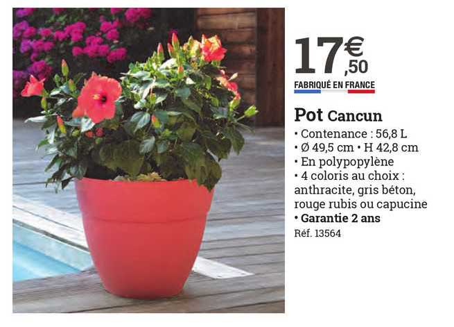 pot cancun