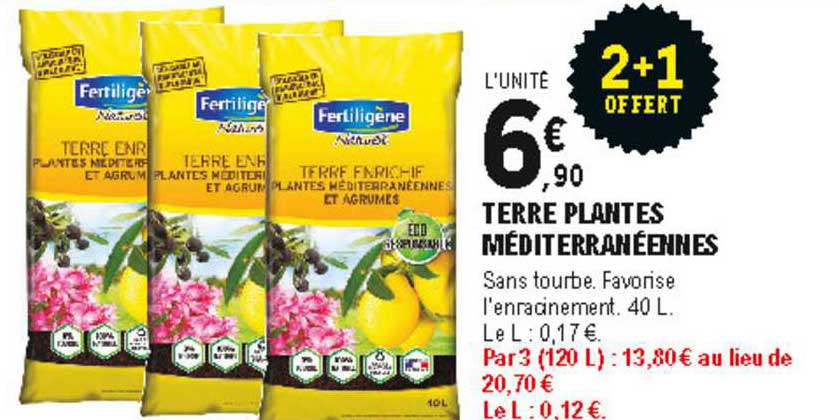 terre plantes méditerranéennes