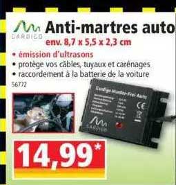 anti-martres auto