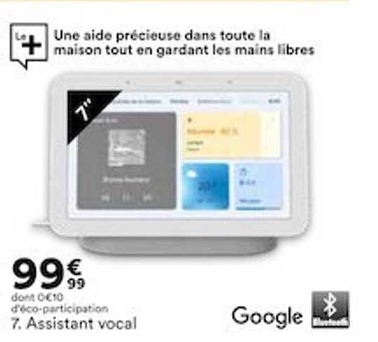 assistant vocal google