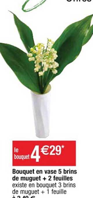 bouquet en vase 5 brins de muguet + 2 feuilles
