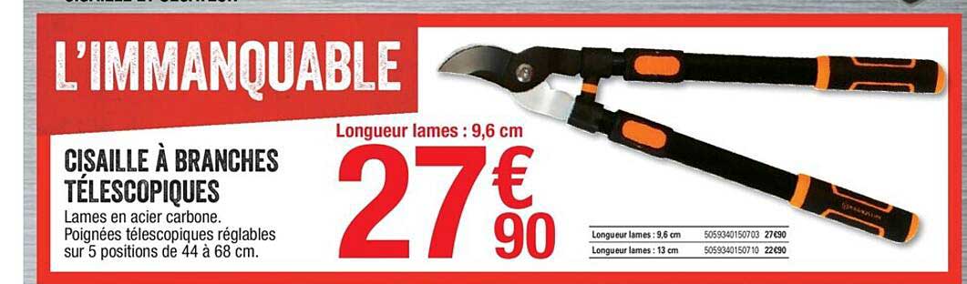 cisaille à branches télescopiques