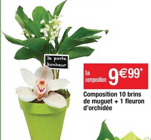 composition 10 brins de muguet + 1 fleuron d'orchidée