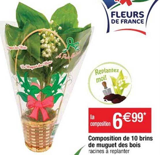 composition de 10 brins de muguet des bois