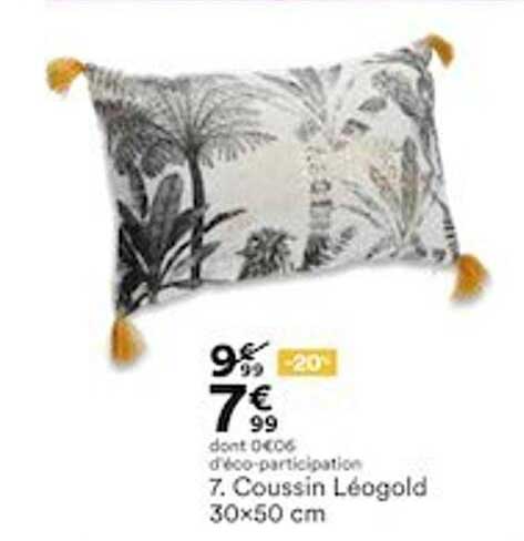 coussin léogold 30x50 cm