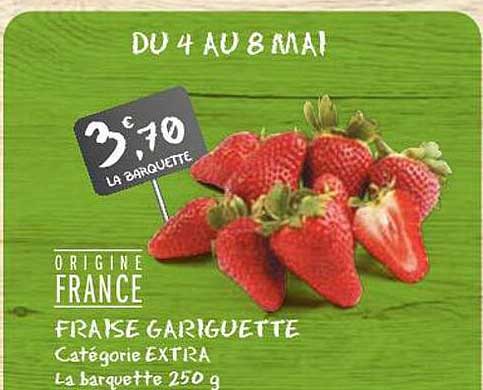 fraise gariguette
