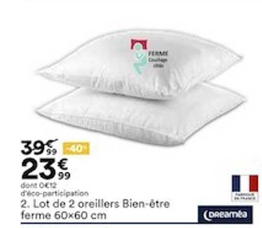 lot de 2 oreillers bien-être  ferme 60x60 cm