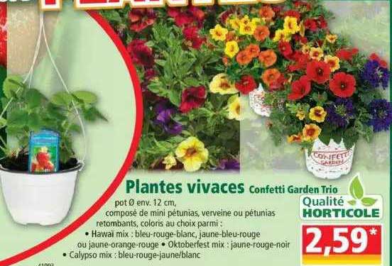 plantes vivaces confetti garden trio