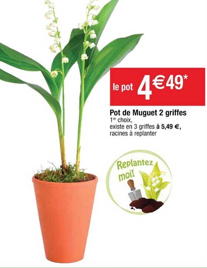 pot de muguet 2 griffes