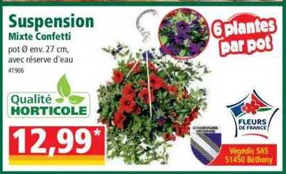 suspension mixte confetti