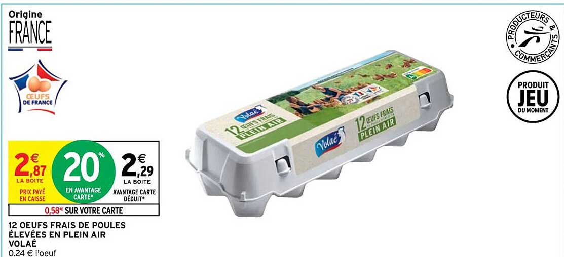 12 œufs frais de poules élevées en plein air volaé