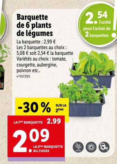barquette de 6 plants de légumes