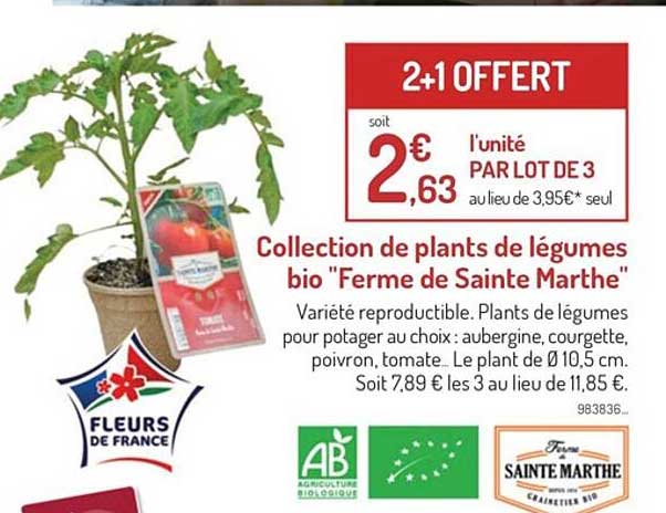collection de plants de légumes bio "ferme de sainte marthe"