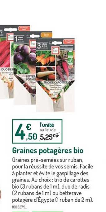 graines potagères bio