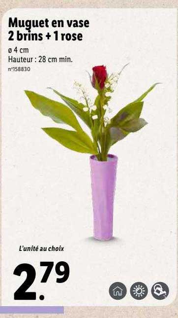 muguet en vase 2 brins + 1 rose