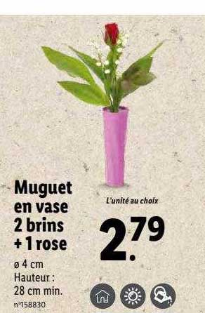 muguet en vase 2 brins + 1 rose
