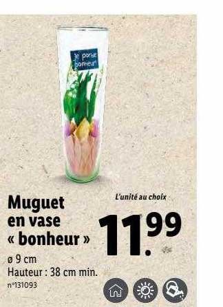 Muguet En Vase «bonheur»