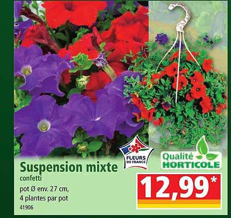 suspension mixte confetti