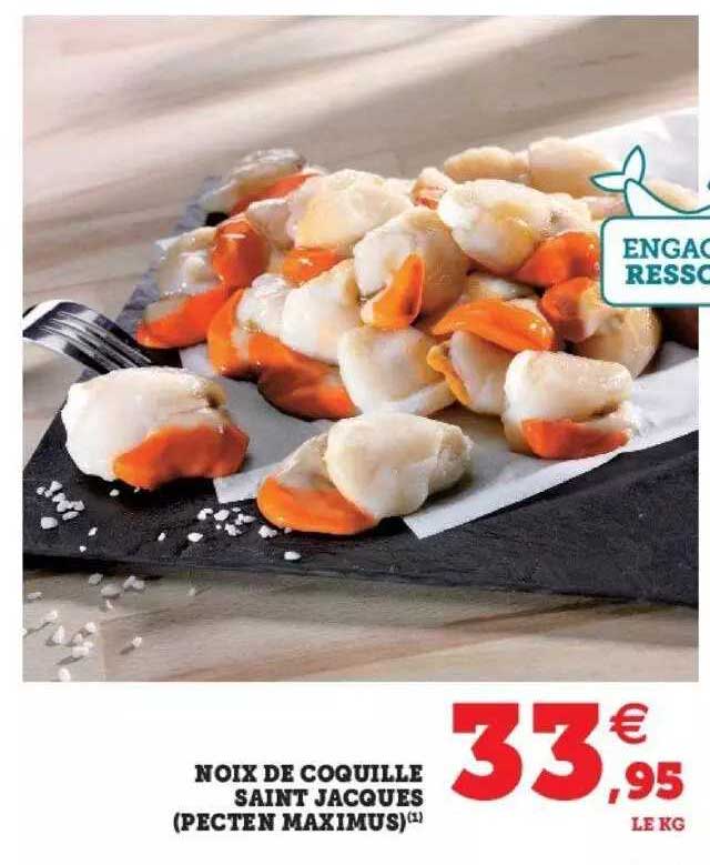 noix de coquille saint jacques (pecten maximus)