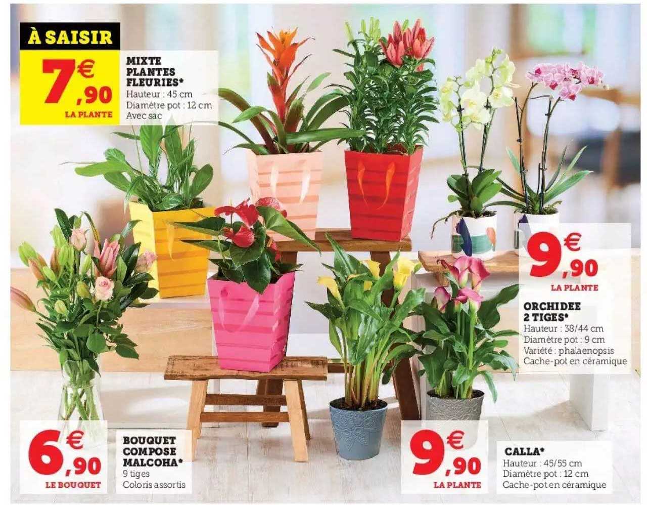 mixte plantes fleuries, bouquet composé malcoha, calla, orchidée 2 tiges