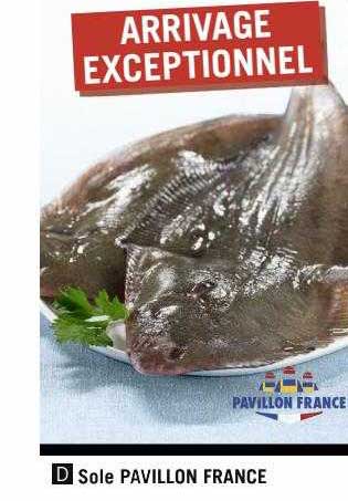 sole pavillon france