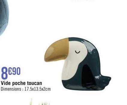 vide poche toucan