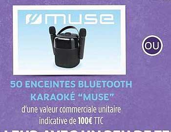 50 ENCEINTES BLUETOOTH KARAOKE "MUSE