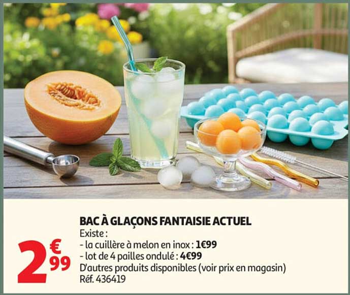 BAC À GLAÇONS FANTAISIE ACTUEL