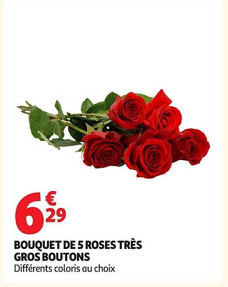 BOUQUET DE 5 ROSES TRÈS GROS BOUTONS