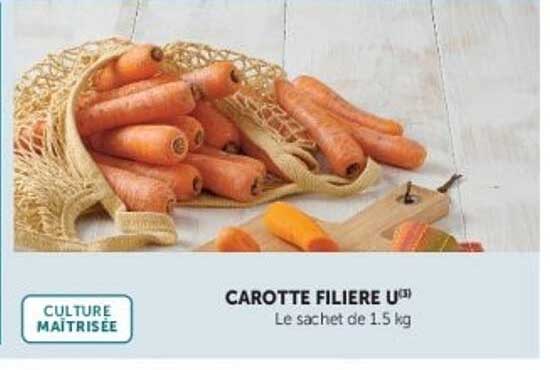 CAROTTE FILIERE U₃)