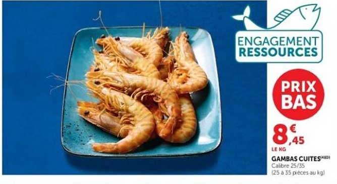 GAMBAS CUITES