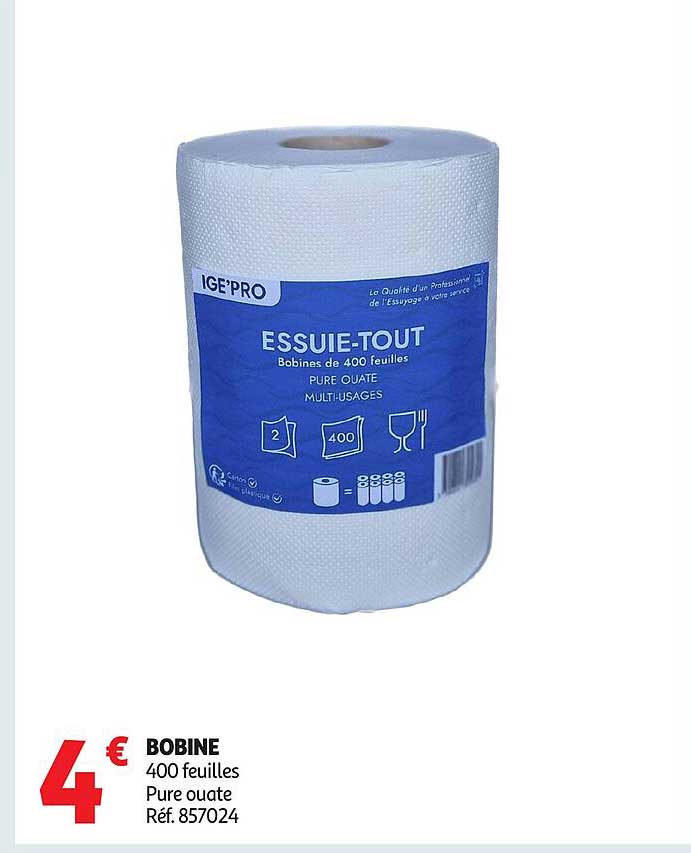 IGE'PRO ESSUIE-TOUT