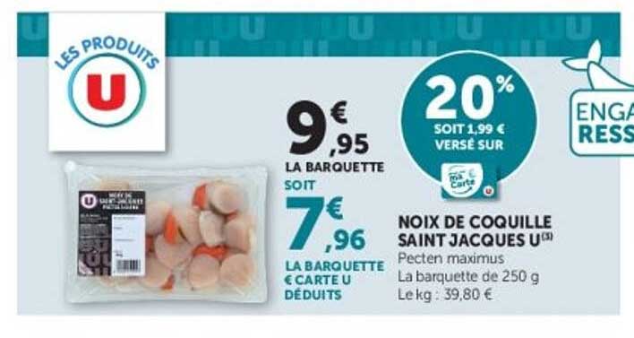 Noix de coquille Saint Jacques U