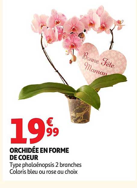 ORCHIDÉE EN FORME DE COEUR