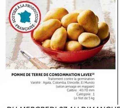 POMME DE TERRE DE CONSOMMATION LAVEE