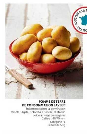 POMME DE TERRE DE CONSOMMATION LAVEE