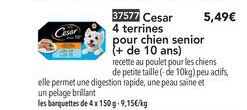 cesar 4 terrines pour chien senior (+ de 10 ans)