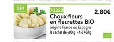 Choux Fleurs En Fleurettes Bio