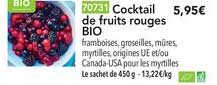 Cocktail De Fruits Rouges Bio