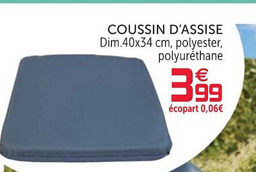 Coussin D'assise