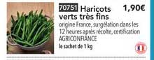 haricots verts très fins
