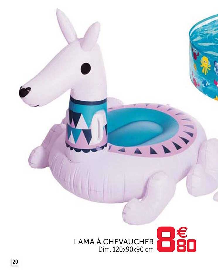 lama à chevaucher