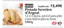 pintade fermière d'argoat
